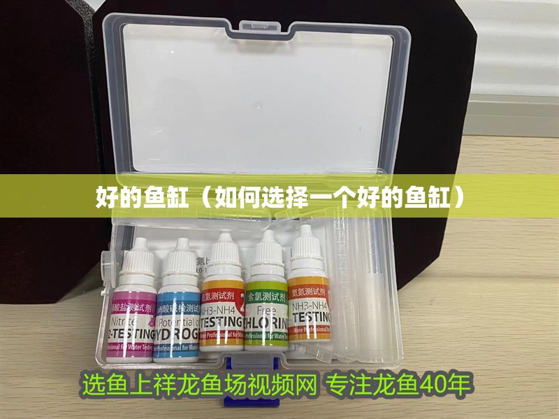 好的魚缸（如何選擇一個好的魚缸） 好的魚缸（如何選擇一個好的魚缸） 魚缸百科