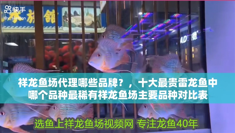 祥龍魚場代理哪些品牌？，十大最貴雷龍魚中哪個品種最稀有祥龍魚場主要品種對比表 祥龍魚場代理哪些品牌？，十大最貴雷龍魚中哪個品種最稀有祥龍魚場主要品種對比表 龍魚百科