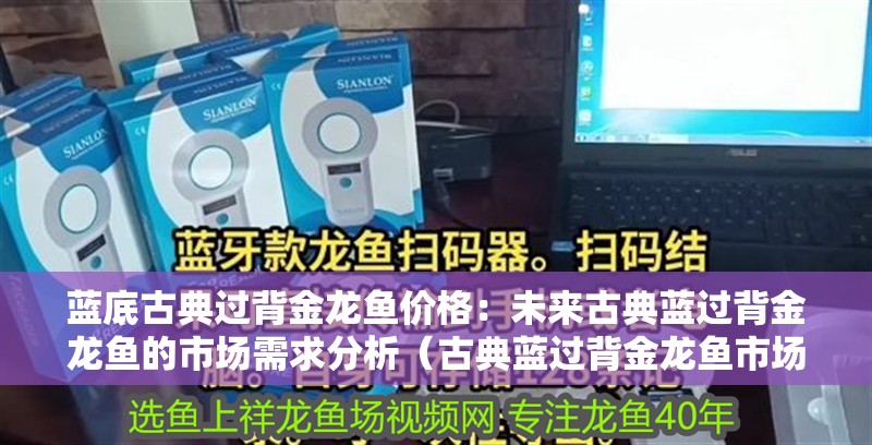 藍底古典過背金龍魚價格：未來古典藍過背金龍魚的市場需求分析（古典藍過背金龍魚市場需求趨勢分析）