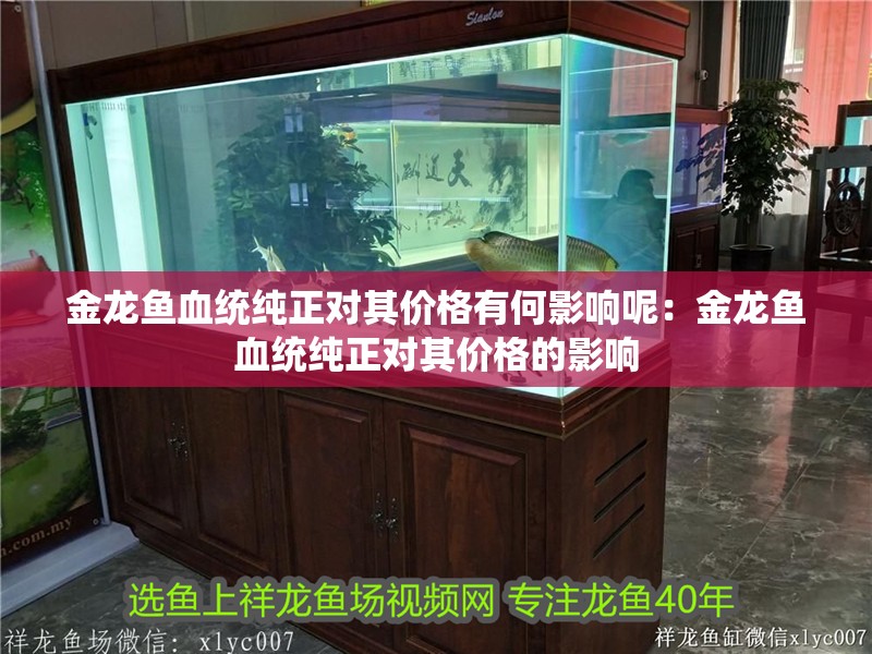 金龍魚血統純正對其價格有何影響呢：金龍魚血統純正對其價格的影響