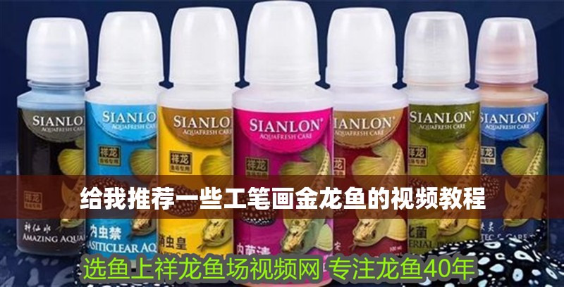 給我推薦一些工筆畫金龍魚的視頻教程 給我推薦一些工筆畫金龍魚的視頻教程 龍魚百科