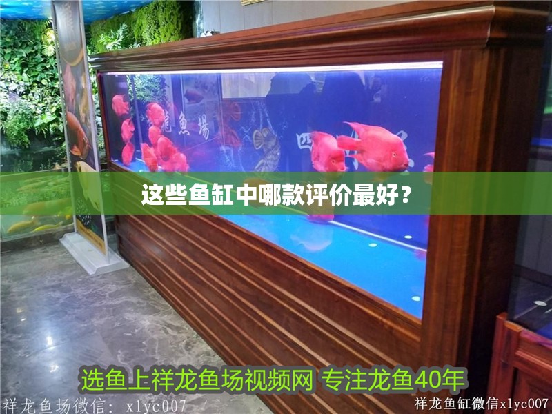 這些魚缸中哪款評價最好？
