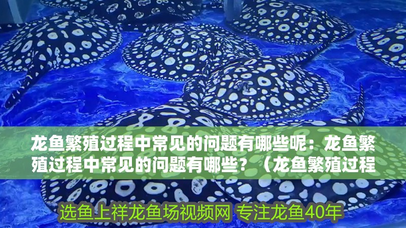龍魚繁殖過程中常見的問題有哪些呢：龍魚繁殖過程中常見的問題有哪些？（龍魚繁殖過程中常見的水質問題及其解決方法是什么）