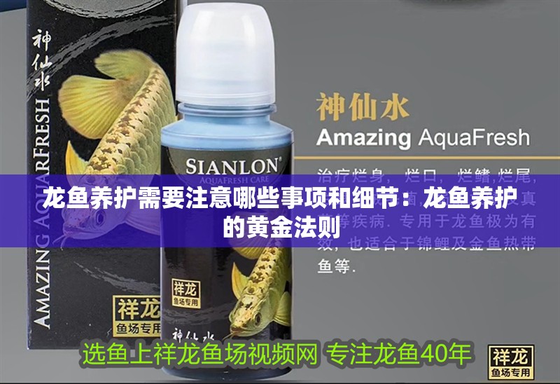 龍魚養(yǎng)護(hù)需要注意哪些事項(xiàng)和細(xì)節(jié)：龍魚養(yǎng)護(hù)的黃金法則