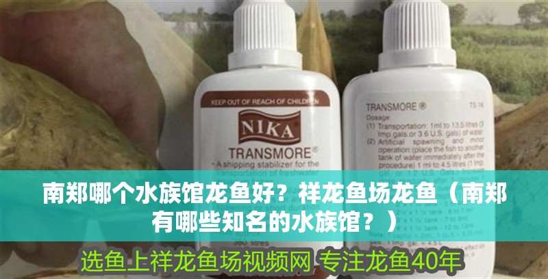 南鄭哪個水族館龍魚好？祥龍魚場龍魚（南鄭有哪些知名的水族館？）