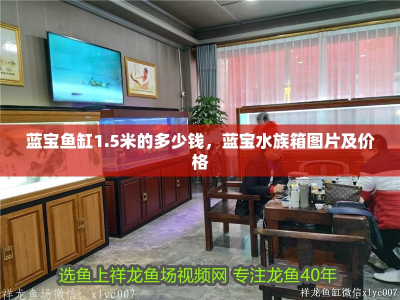 藍寶魚缸1.5米的多少錢，藍寶水族箱圖片及價格