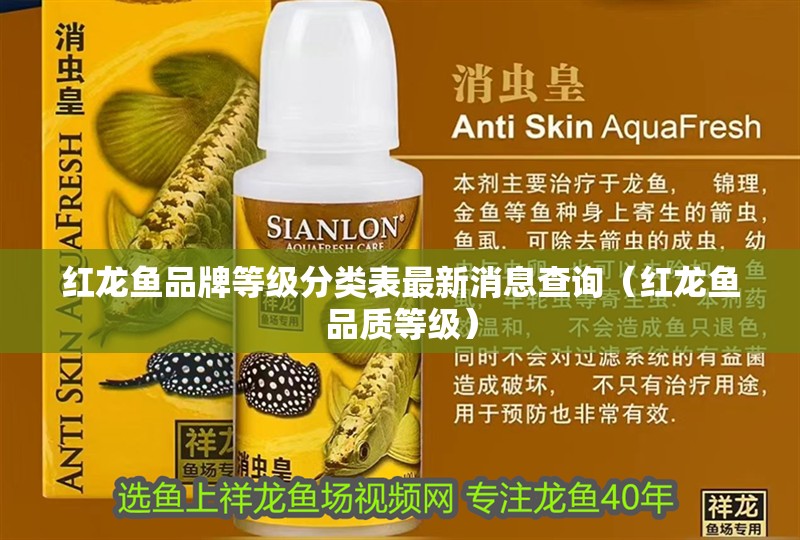 紅龍魚品牌等級分類表最新消息查詢（紅龍魚品質等級）