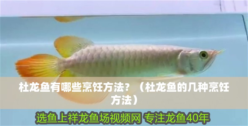 杜龍魚有哪些烹飪方法？（杜龍魚的幾種烹飪方法）