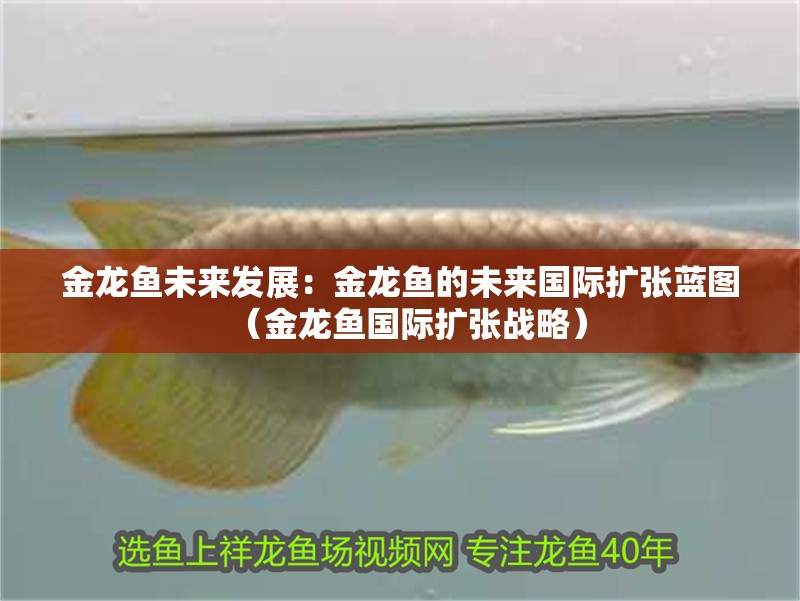 金龍魚未來發(fā)展：金龍魚的未來國際擴張藍圖（金龍魚國際擴張戰(zhàn)略） 金龍魚未來發(fā)展：金龍魚的未來國際擴張藍圖（金龍魚國際擴張戰(zhàn)略） 水族問答 第1張