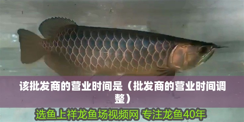 該批發(fā)商的營業(yè)時(shí)間是（批發(fā)商的營業(yè)時(shí)間調(diào)整）