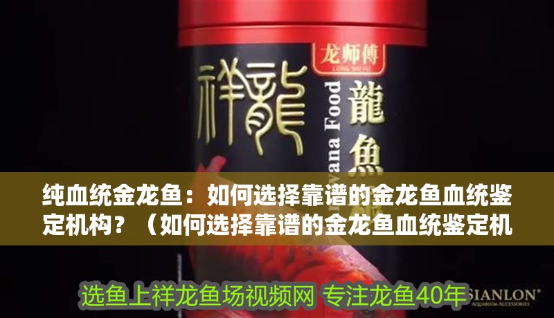 純血統金龍魚：如何選擇靠譜的金龍魚血統鑒定機構？（如何選擇靠譜的金龍魚血統鑒定機構）