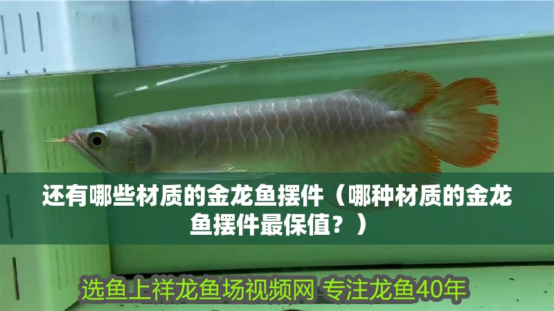 還有哪些材質(zhì)的金龍魚擺件（哪種材質(zhì)的金龍魚擺件最保值？） 還有哪些材質(zhì)的金龍魚擺件（哪種材質(zhì)的金龍魚擺件最保值？） 龍魚百科