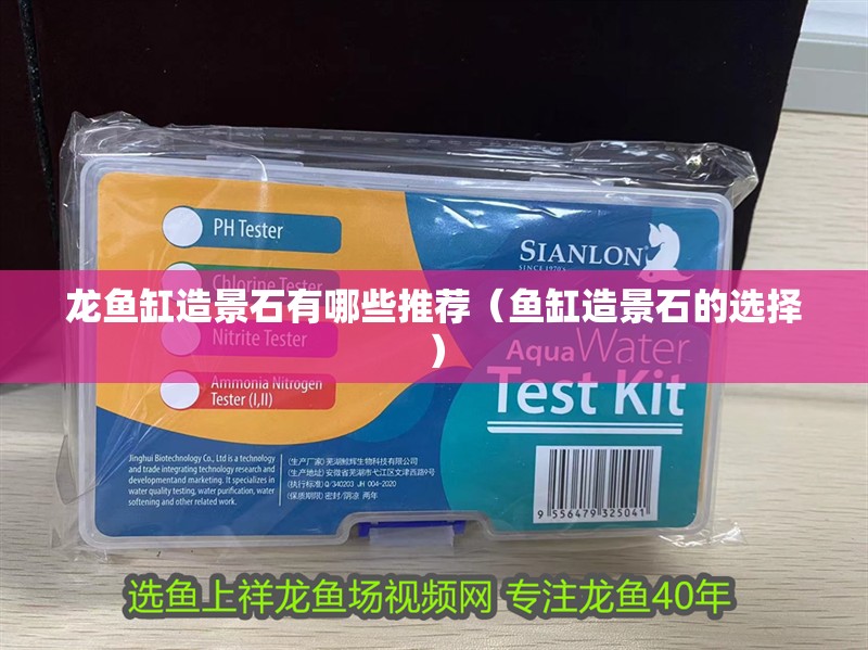 龍魚缸造景石有哪些推薦（魚缸造景石的選擇）