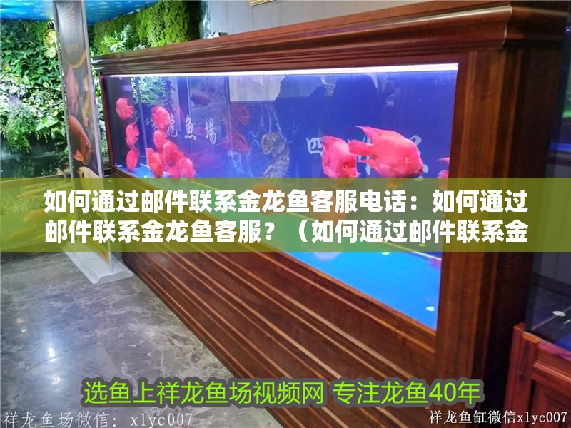 如何通過郵件聯系金龍魚客服電話：如何通過郵件聯系金龍魚客服？（如何通過郵件聯系金龍魚）