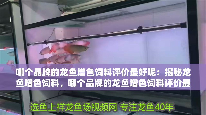 哪個品牌的龍魚增色飼料評價最好呢：揭秘龍魚增色飼料，哪個品牌的龍魚增色飼料評價最好？（什么品牌的龍魚增色飼料評價最好？）