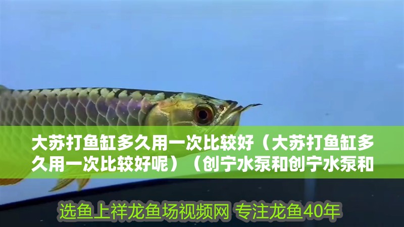 大蘇打魚缸多久用一次比較好（大蘇打魚缸多久用一次比較好呢）（創(chuàng)寧水泵和創(chuàng)寧水泵和創(chuàng)寧水泵的區(qū)別是什么水泵好）
