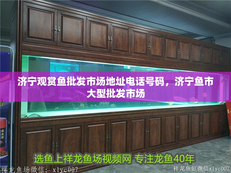 濟寧觀賞魚批發市場地址電話號碼，濟寧魚市大型批發市場