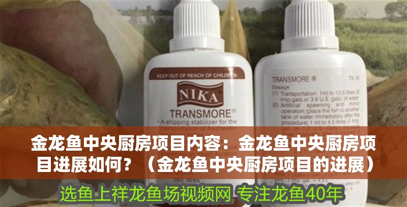 金龍魚中央廚房項目內容：金龍魚中央廚房項目進展如何？（金龍魚中央廚房項目的進展）