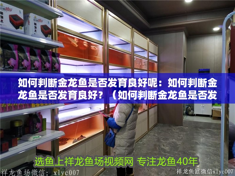 如何判斷金龍魚是否發(fā)育良好呢：如何判斷金龍魚是否發(fā)育良好？（如何判斷金龍魚是否發(fā)育良好）