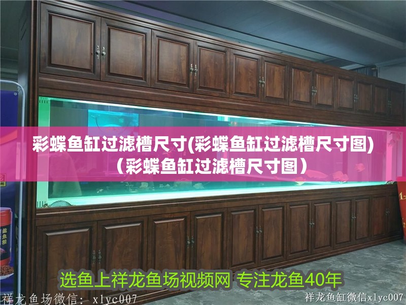 彩蝶魚缸過濾槽尺寸(彩蝶魚缸過濾槽尺寸圖)（彩蝶魚缸過濾槽尺寸圖）