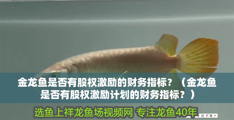 金龍魚是否有股權激勵的財務指標？（金龍魚是否有股權激勵計劃的財務指標？）