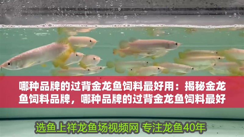 哪種品牌的過背金龍魚飼料最好用：揭秘金龍魚飼料品牌，哪種品牌的過背金龍魚飼料最好？（揭秘金龍魚飼料品牌的過背金龍魚飼料最好的過背金龍魚飼料）