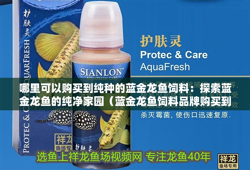 哪里可以購買到純種的藍金龍魚飼料：探索藍金龍魚的純凈家園（藍金龍魚飼料品牌購買到純種的藍金龍魚飼料品牌飼料）