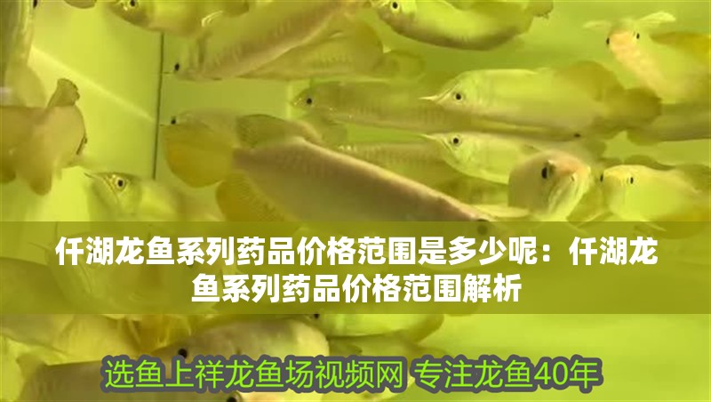 仟湖龍魚系列藥品價格范圍是多少呢：仟湖龍魚系列藥品價格范圍解析