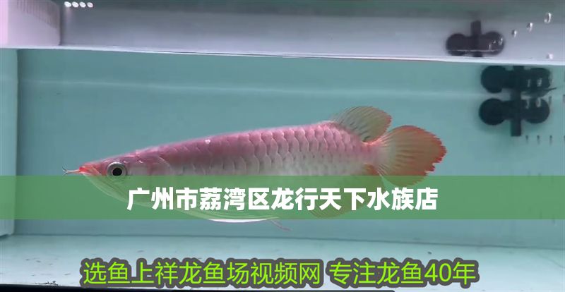 廣州市荔灣區(qū)龍行天下水族店 全國水族館企業(yè)名錄 第1張 廣州市荔灣區(qū)龍行天下水族店 廣州市荔灣區(qū)龍行天下水族店 全國水族館企業(yè)名錄 第1張