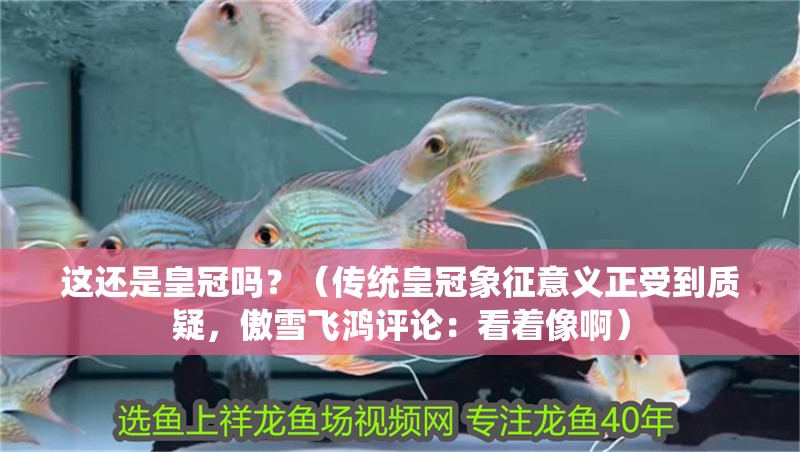 這還是皇冠嗎？（傳統(tǒng)皇冠象征意義正受到質疑，傲雪飛鴻評論：看著像啊）