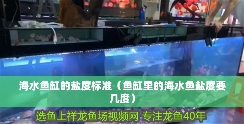 龍魚干蝦有營養嗎 海水魚缸的鹽度標準(魚缸里的海水魚鹽度要幾度) 觀賞魚百科 海水魚缸的鹽度標準(魚缸里的海水魚鹽度要幾度) 海水魚缸的鹽度標準(魚缸里的海水魚鹽度要幾度) 觀賞魚百科