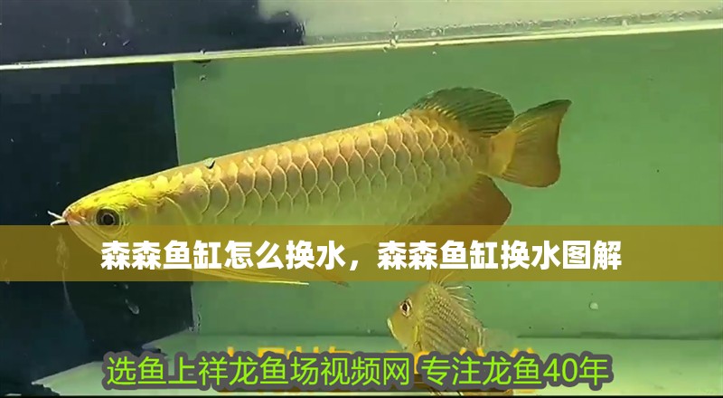 森森魚缸怎么換水，森森魚缸換水圖解