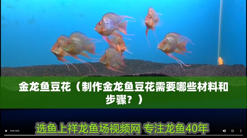 金龍魚豆花（制作金龍魚豆花需要哪些材料和步驟？）