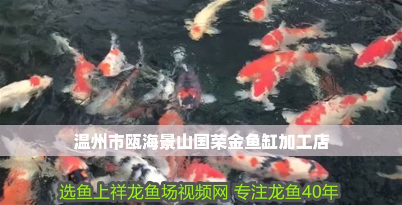 溫州市甌海景山國榮金魚缸加工店 溫州市甌海景山國榮金魚缸加工店 全國水族館企業名錄 第1張