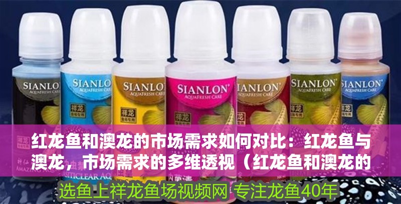 紅龍魚和澳龍的市場需求如何對比：紅龍魚與澳龍，市場需求的多維透視（紅龍魚和澳龍的市場需求）