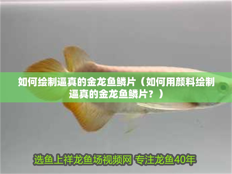 如何繪制逼真的金龍魚鱗片（如何用顏料繪制逼真的金龍魚鱗片？）