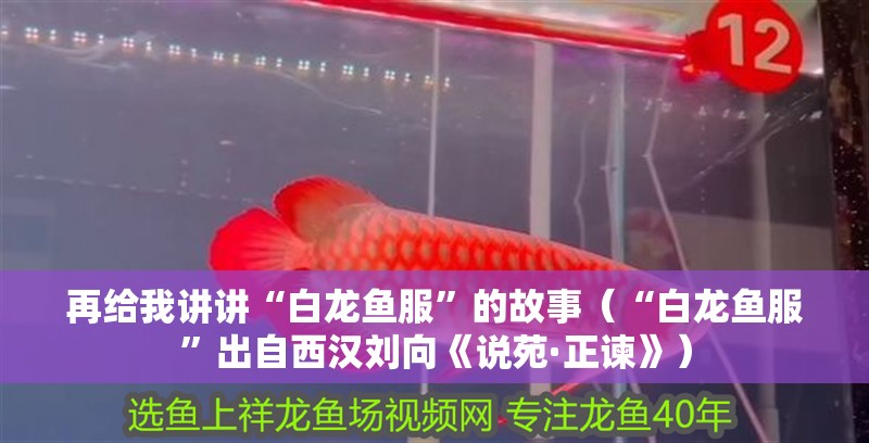 再給我講講“白龍魚服”的故事（“白龍魚服”出自西漢劉向《說苑·正諫》）