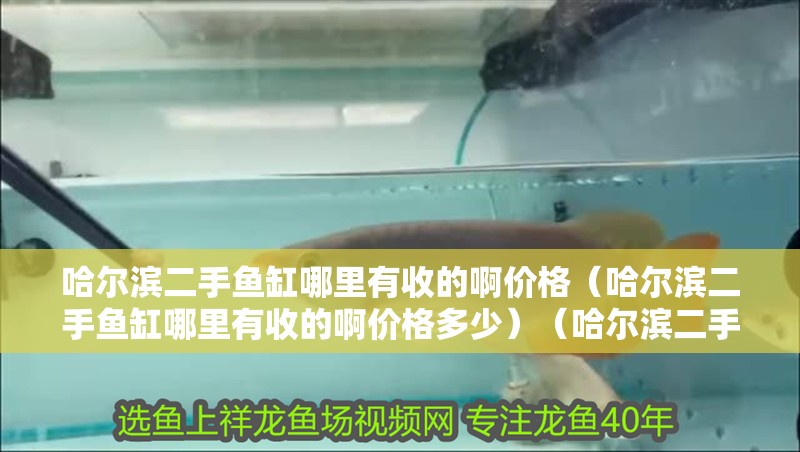 哈爾濱二手魚缸哪里有收的啊價格（哈爾濱二手魚缸哪里有收的啊價格多少）（哈爾濱二手魚缸價格）