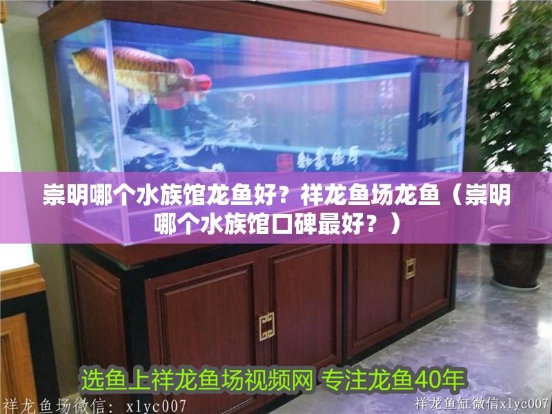 崇明哪個水族館龍魚好？祥龍魚場龍魚（崇明哪個水族館口碑最好？） 崇明哪個水族館龍魚好？祥龍魚場龍魚（崇明哪個水族館口碑最好？） 龍魚百科