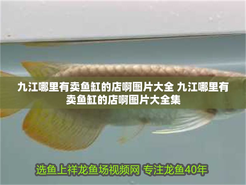 九江哪里有賣魚缸的店啊圖片大全 九江哪里有賣魚缸的店啊圖片大全集