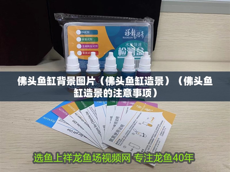 佛頭魚缸背景圖片（佛頭魚缸造景）（佛頭魚缸造景的注意事項）