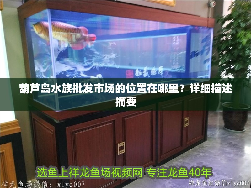 葫蘆島水族批發市場的位置在哪里？詳細描述摘要