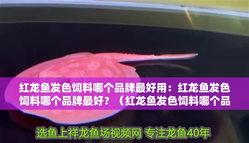 紅龍魚發色飼料哪個品牌最好用：紅龍魚發色飼料哪個品牌最好？（紅龍魚發色飼料哪個品牌最好紅龍魚發色飼料哪個品牌最好）