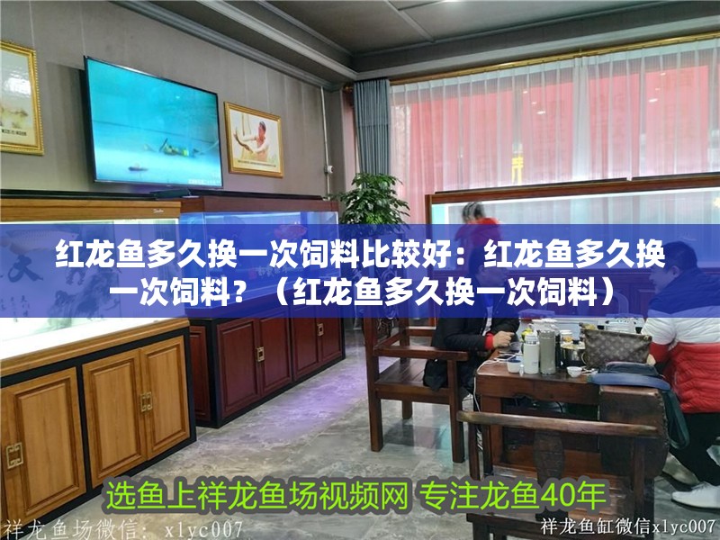 紅龍魚(yú)多久換一次飼料比較好：紅龍魚(yú)多久換一次飼料？（紅龍魚(yú)多久換一次飼料）