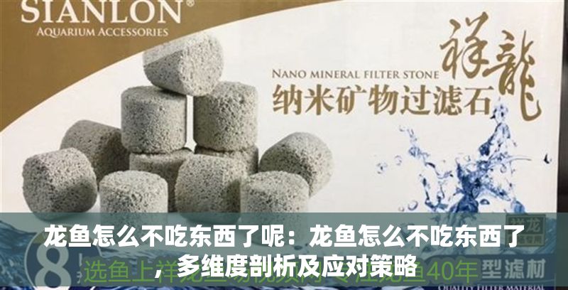 龍魚怎么不吃東西了呢：龍魚怎么不吃東西了，多維度剖析及應對策略