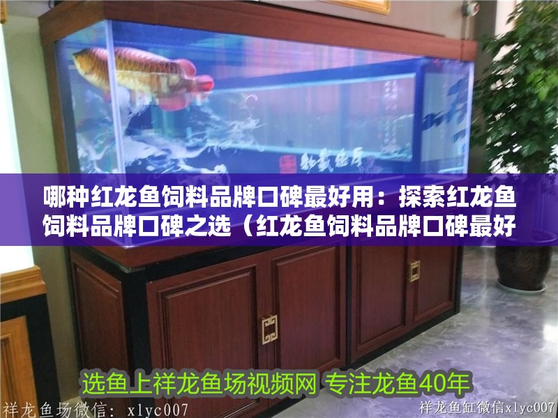 哪種紅龍魚(yú)飼料品牌口碑最好用：探索紅龍魚(yú)飼料品牌口碑之選（紅龍魚(yú)飼料品牌口碑最好的飼料品牌）