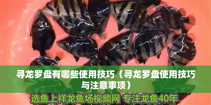 尋龍羅盤有哪些使用技巧（尋龍羅盤使用技巧與注意事項）
