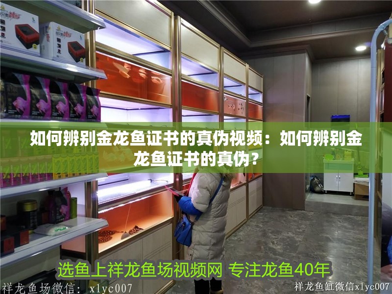 如何辨別金龍魚證書的真偽視頻：如何辨別金龍魚證書的真偽？