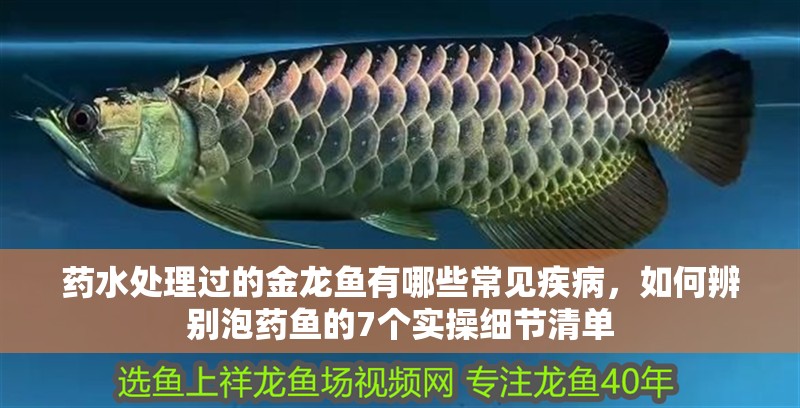 藥水處理過的金龍魚有哪些常見疾病，如何辨別泡藥魚的7個實操細節清單