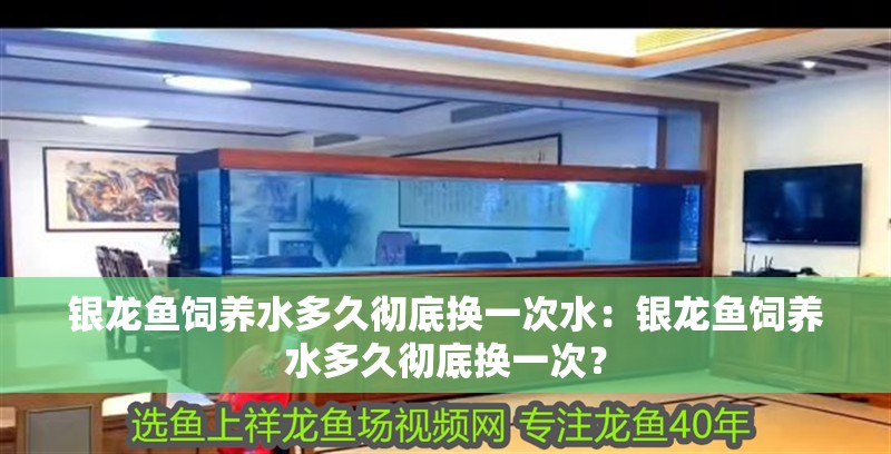 銀龍魚飼養水多久徹底換一次水：銀龍魚飼養水多久徹底換一次？